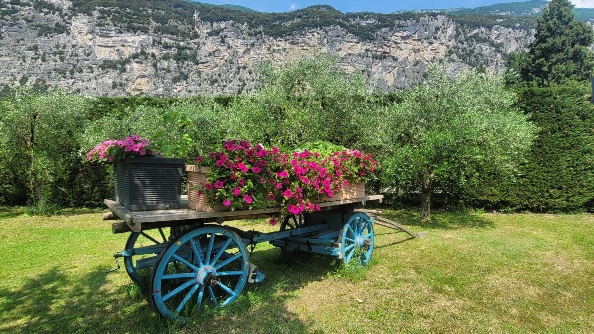 Agriturismo Vin E Amor Dro Exteriér fotografie
