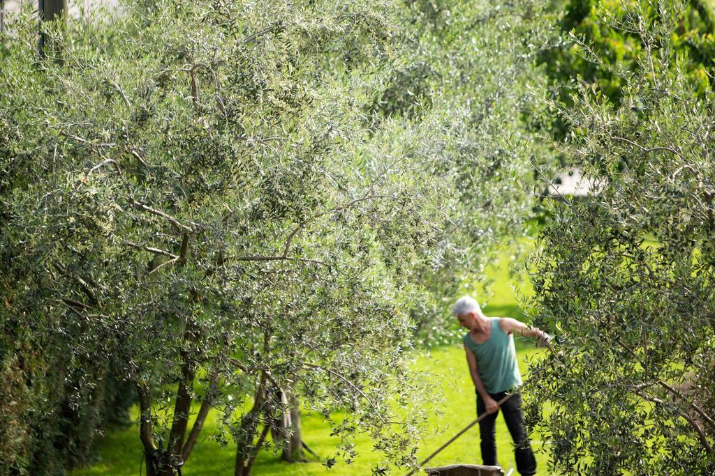 Agriturismo Vin E Amor Dro Exteriér fotografie